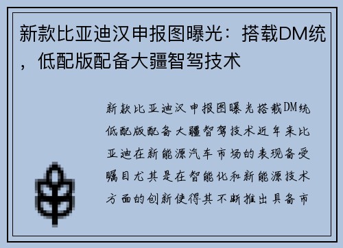 新款比亚迪汉申报图曝光：搭载DM统，低配版配备大疆智驾技术