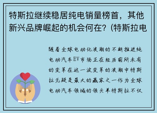 特斯拉继续稳居纯电销量榜首，其他新兴品牌崛起的机会何在？(特斯拉电动车销量2020)