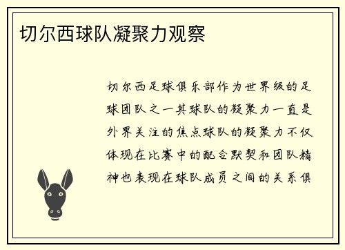 切尔西球队凝聚力观察